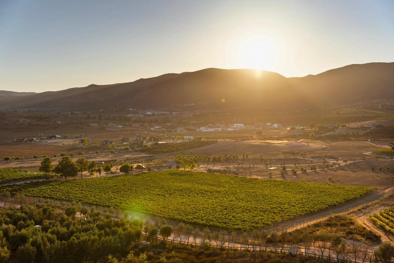 Banyan Tree Veya, Valle De Guadalupe - A Wellbeing & Wine Resort Eksteriør billede