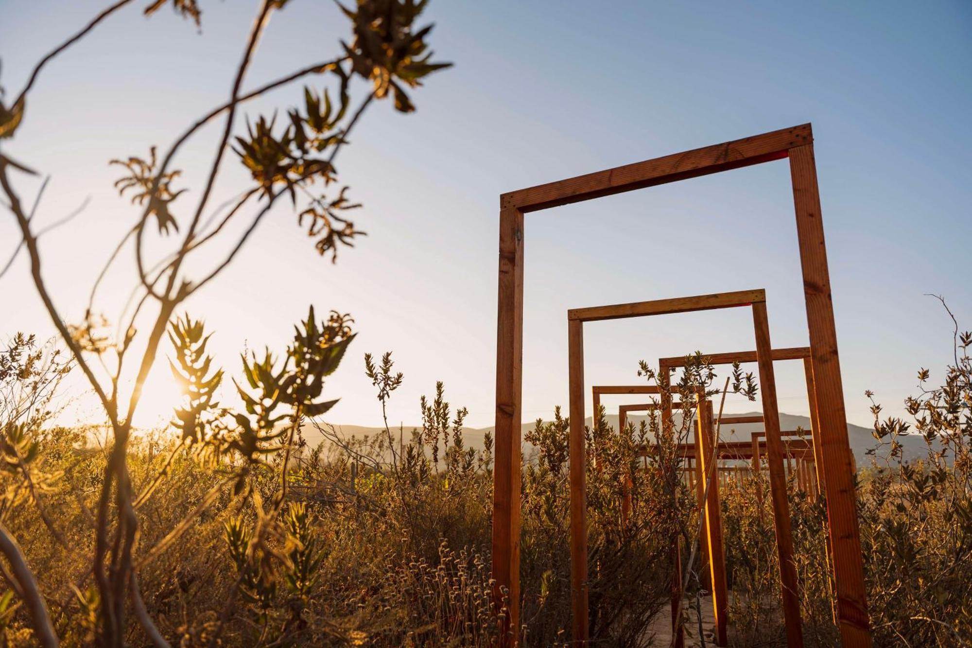 Banyan Tree Veya, Valle De Guadalupe - A Wellbeing & Wine Resort Eksteriør billede