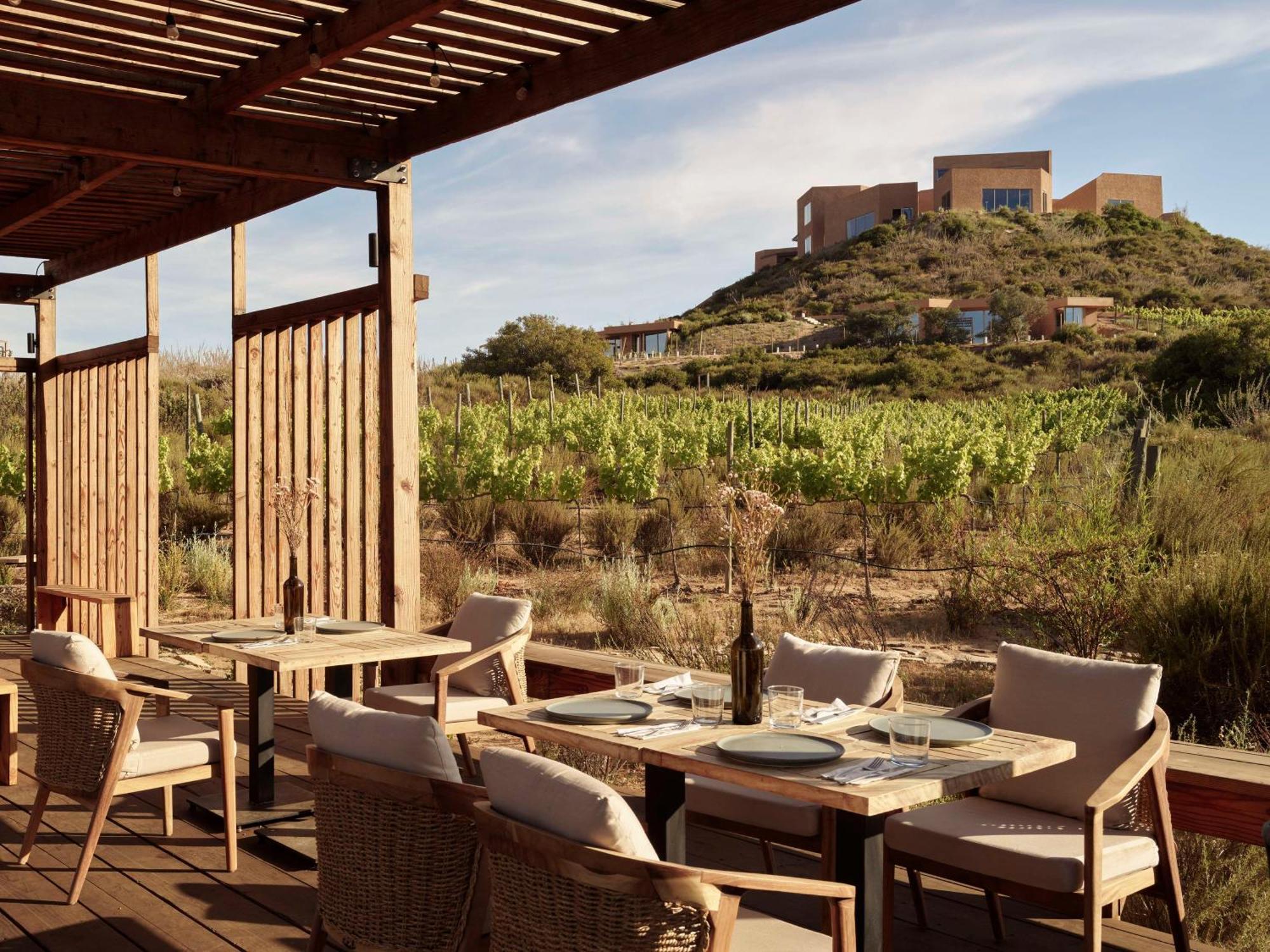 Banyan Tree Veya, Valle De Guadalupe - A Wellbeing & Wine Resort Eksteriør billede
